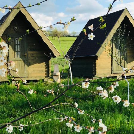 Pensiune Rozalia - Camping Acomodação com café da manhã Crit Exterior foto