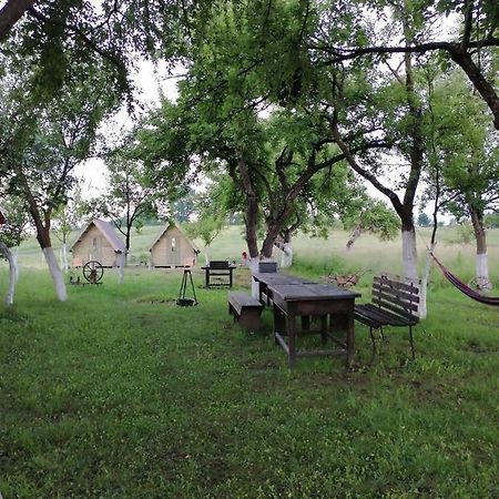 Pensiune Rozalia - Camping Acomodação com café da manhã Crit Exterior foto