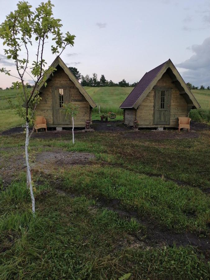 Pensiune Rozalia - Camping Acomodação com café da manhã Crit Exterior foto