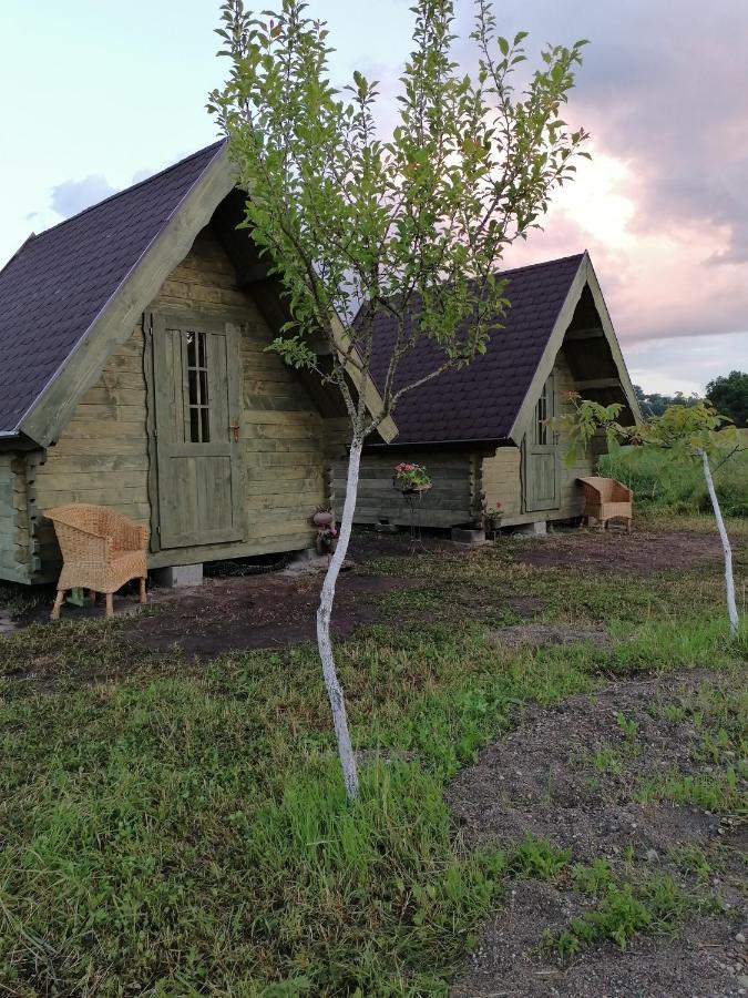 Pensiune Rozalia - Camping Acomodação com café da manhã Crit Exterior foto