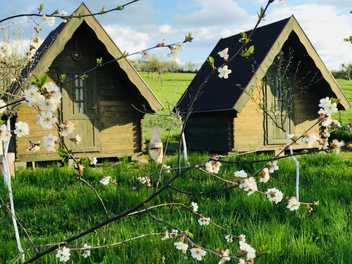 Pensiune Rozalia - Camping Acomodação com café da manhã Crit Exterior foto